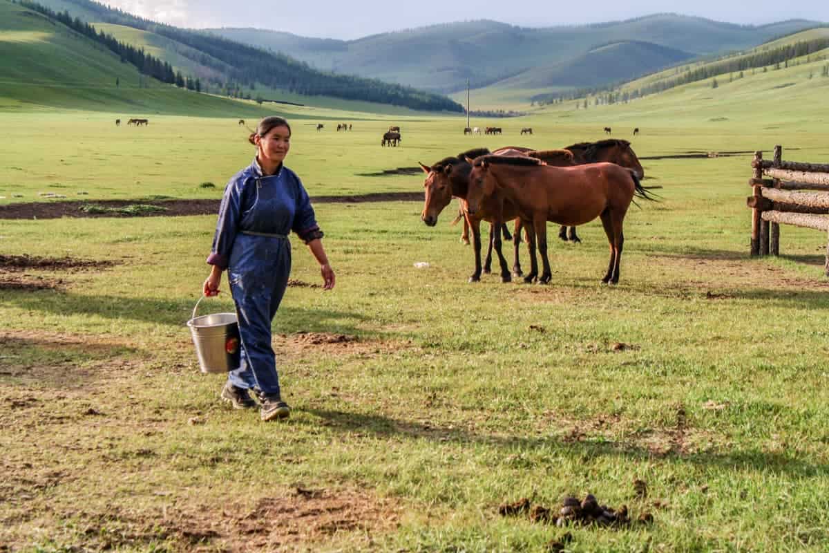 Una mujer mongol cultivando y sosteniendo un cubo de leche de yegua fermentada en la tierra de un ger mongol, Mongolia