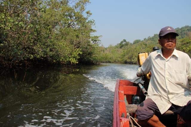 Koh Kong jungle trek Koh Kong jungle trekking