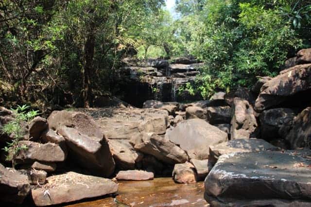 Koh Kong jungle trek Koh Kong jungle trekking