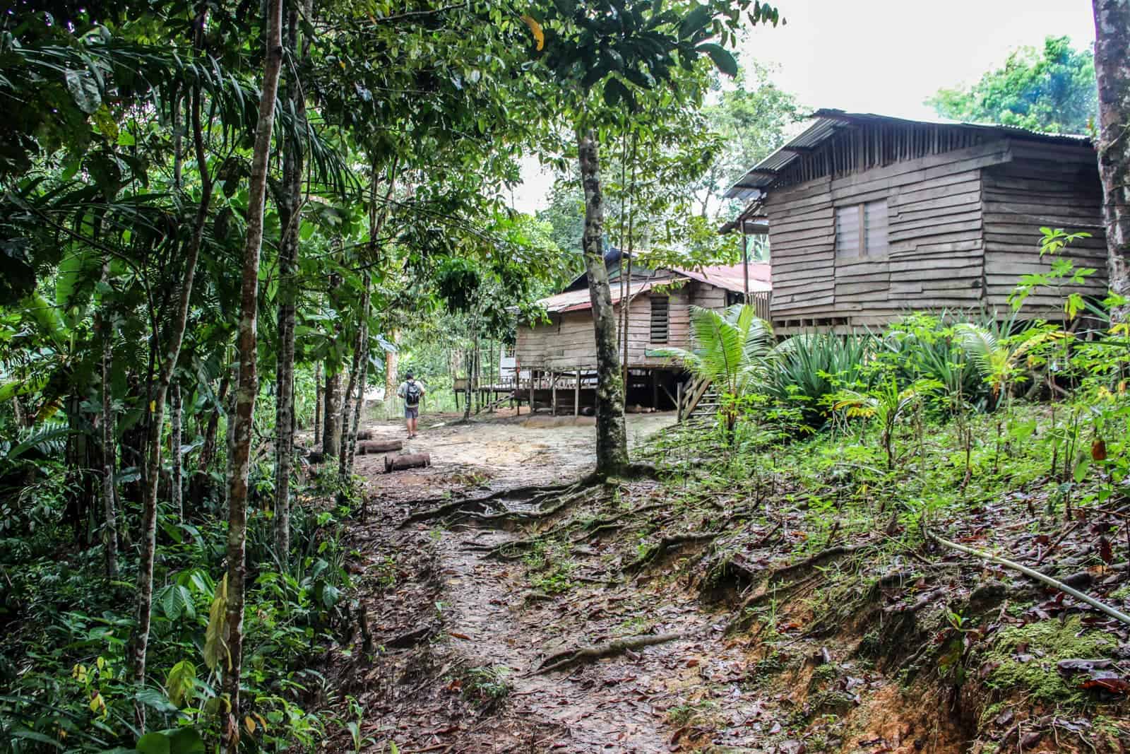 Visiting an Iban Longhouse Borneo