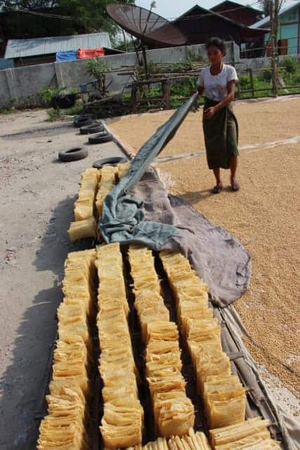 Bean curd factory Myanmar