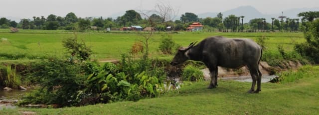 Mandalay countryside