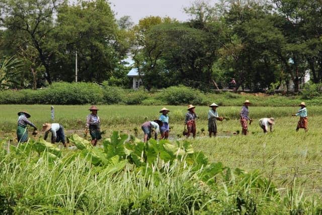 Mandalay countryside