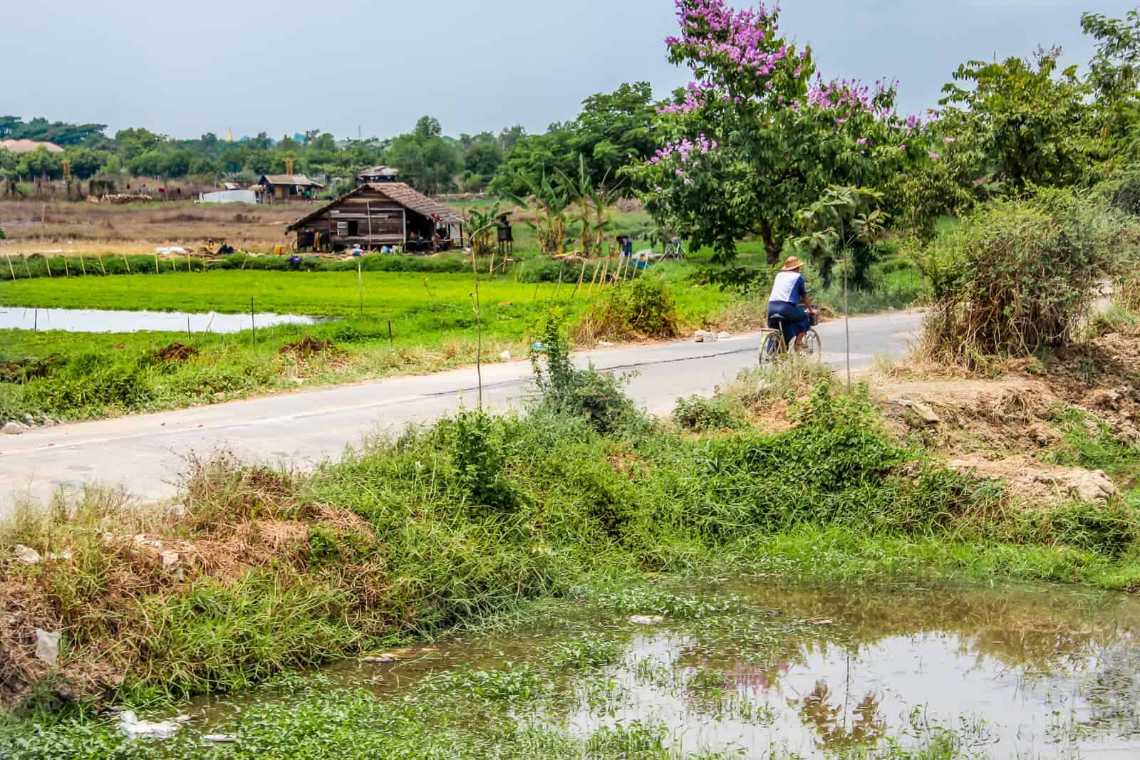 Yangon Circular Train Myanmar Countryside