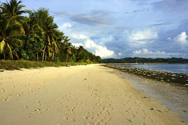 beach in Hoga island