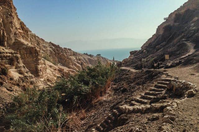 Ein Gedi Nature Reserve, Israel desert