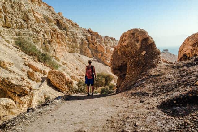 Ein Gedi Nature Reserve, Israel desert