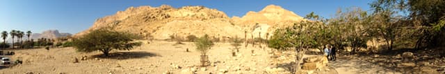 Ein Gedi Nature Reserve, Israel desert