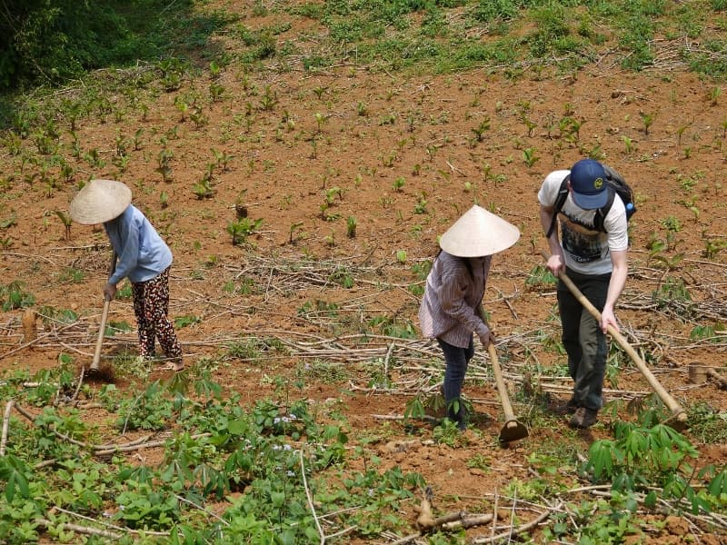 Hanoi, Vietnam, Bloom Micro Finance