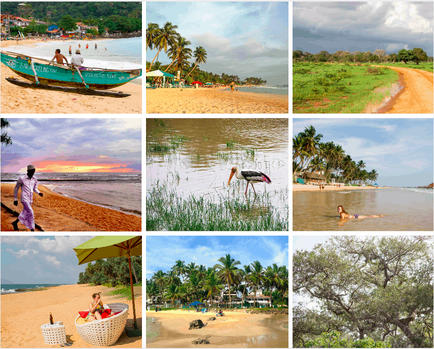 Beaches, National Parks, Sri Lanka