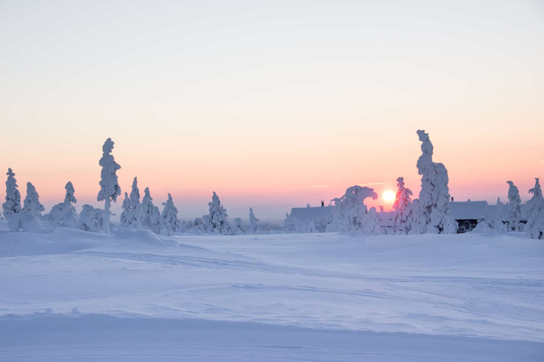 Snow covered trees poke through the Finland Lapland wilderness covered in thick snow. A light pinky-orange sunset falls behind. 