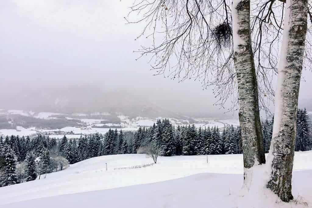 Skiing in Tirol, Austria, Kitzbüheler Alpen