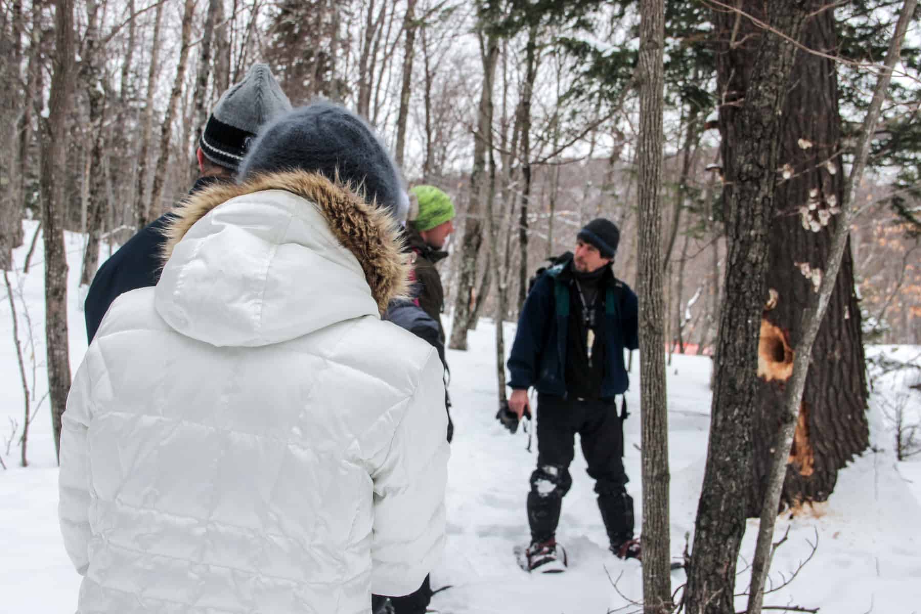 A man dressed in dark clothing and wearing snowshoes leads a tour in a in a snow covered forest in Canada. 