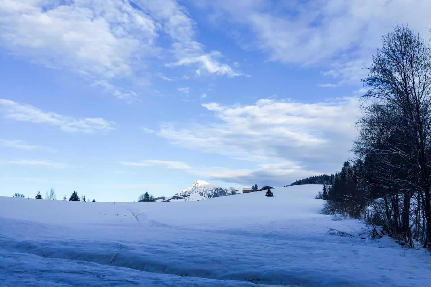 Fatbiking and Segway in Austria