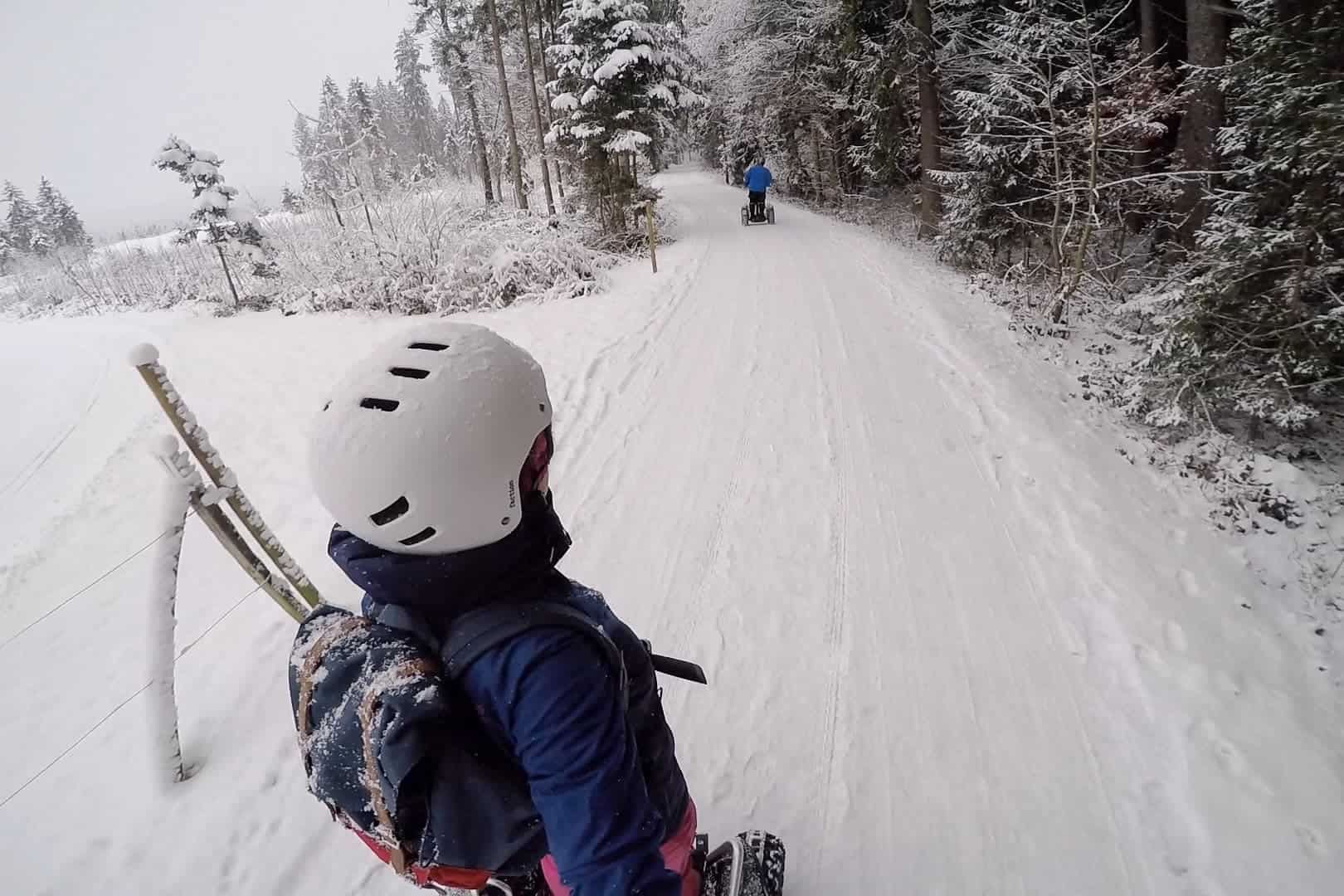 Segway in Austria