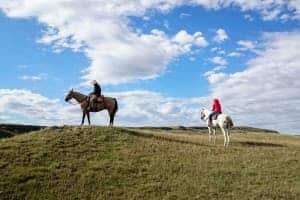 A man on a brown horse and a woman on a white horse, stopping on a green hill under a blue sky.