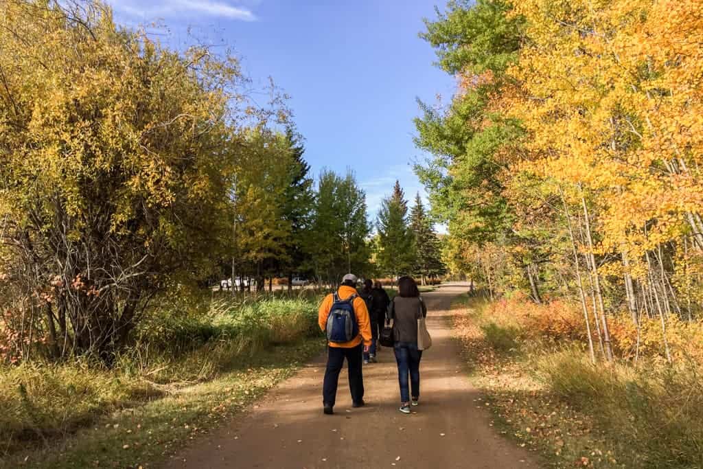 Elk Island National Park, Edmonton, Alberta, Canada