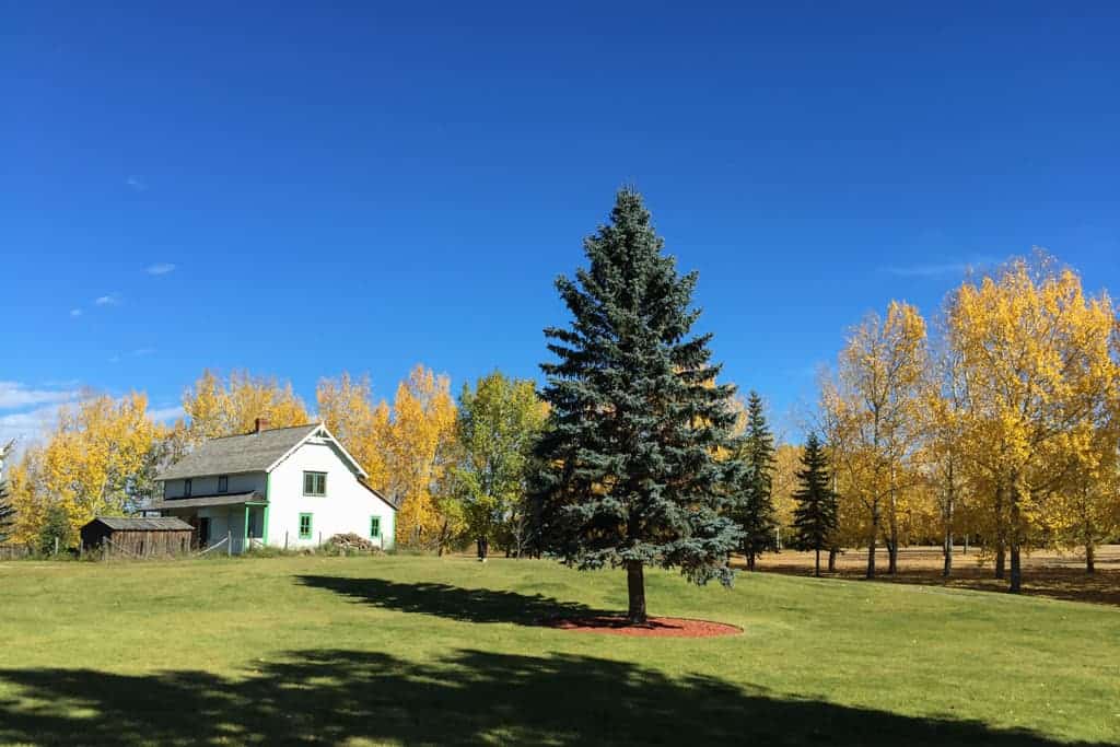 Ukrainian Cultural Village, Edmonton, Alberta, Canada