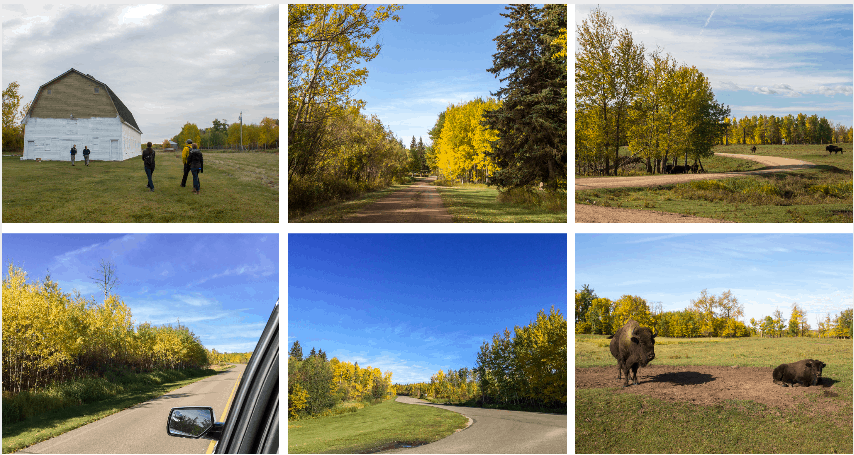 Elk Island National Park, Edmonton, Alberta, Canada