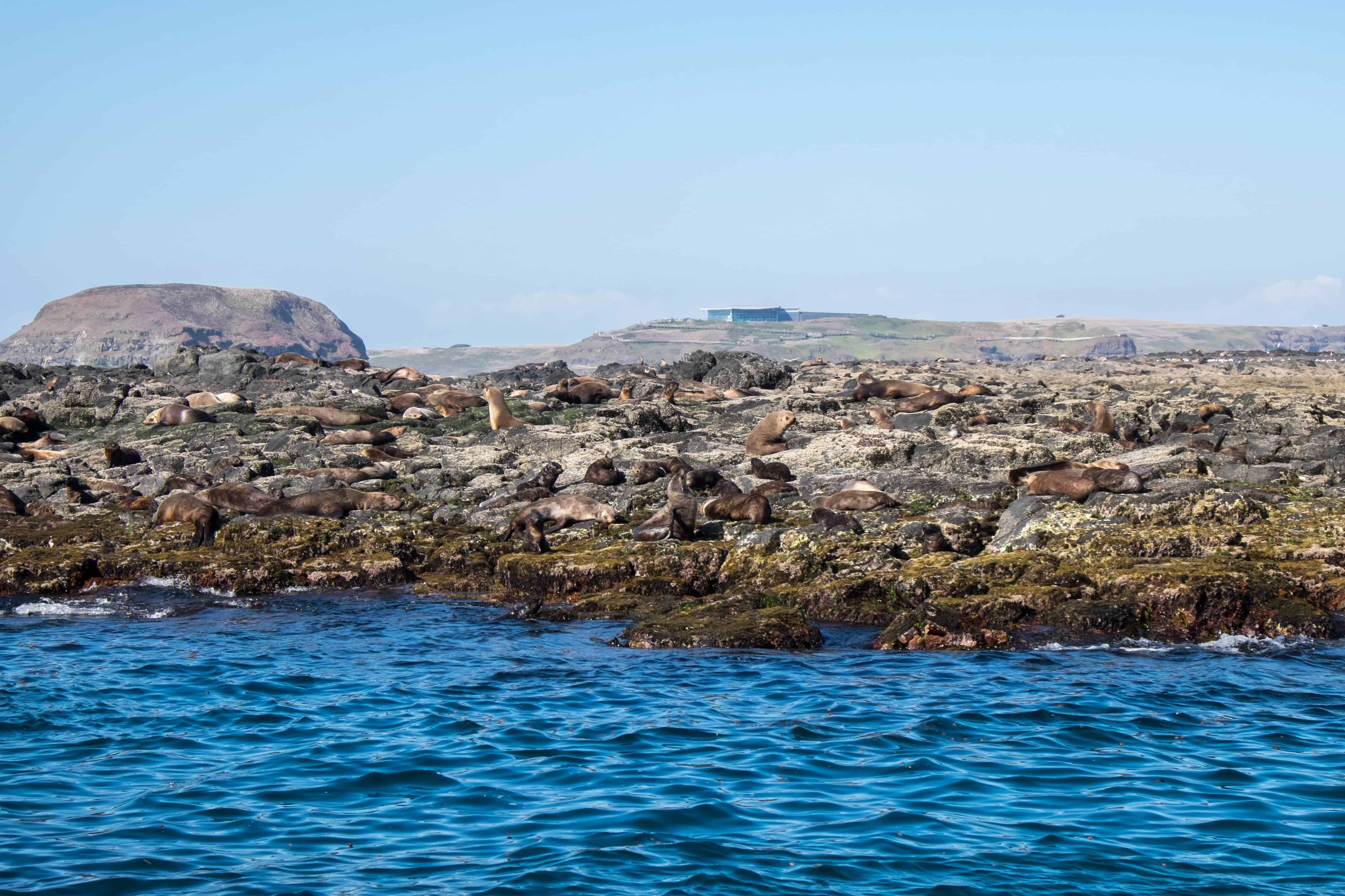 Seal Rock, Phillip Island, Victoria, Australia Road Trip