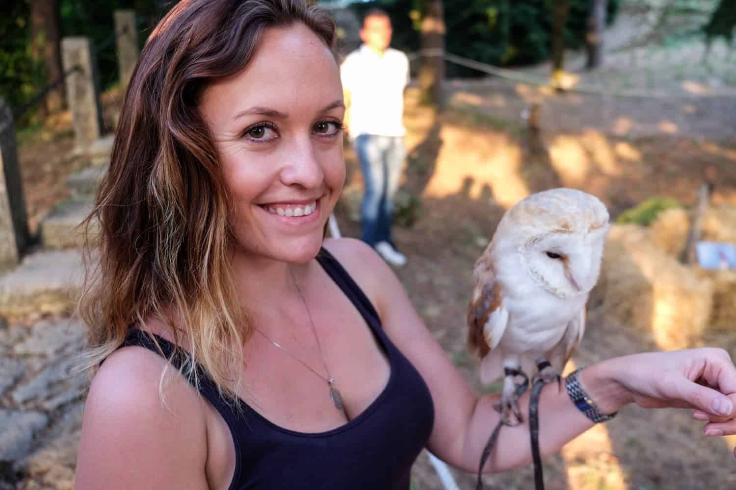 edieval Festival in San Marino, Medieval Days falconry