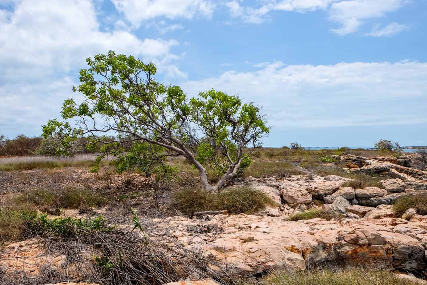 Lombadina, Aboriginal Communities in Kimberly Outback of Western Australia