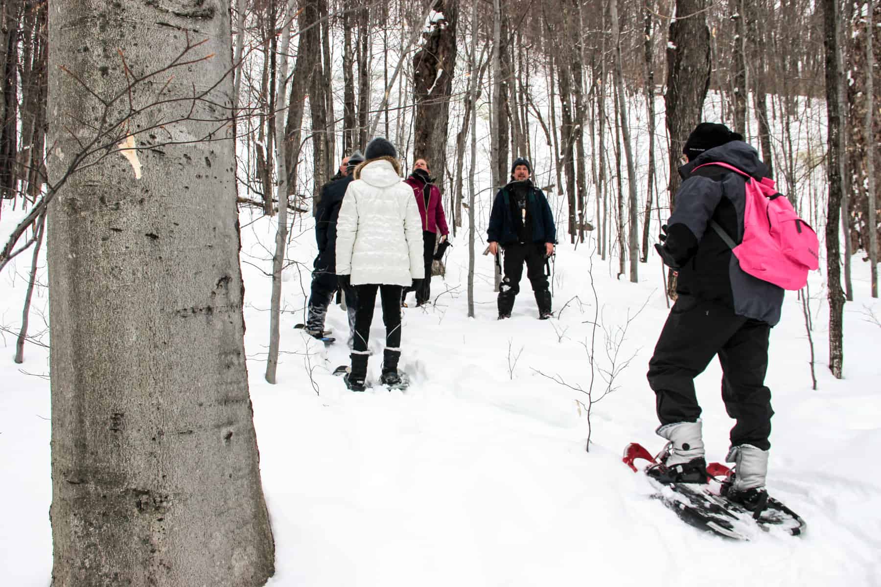 A group of people on a snowshoe tour in Mont Tremblant in winter. 