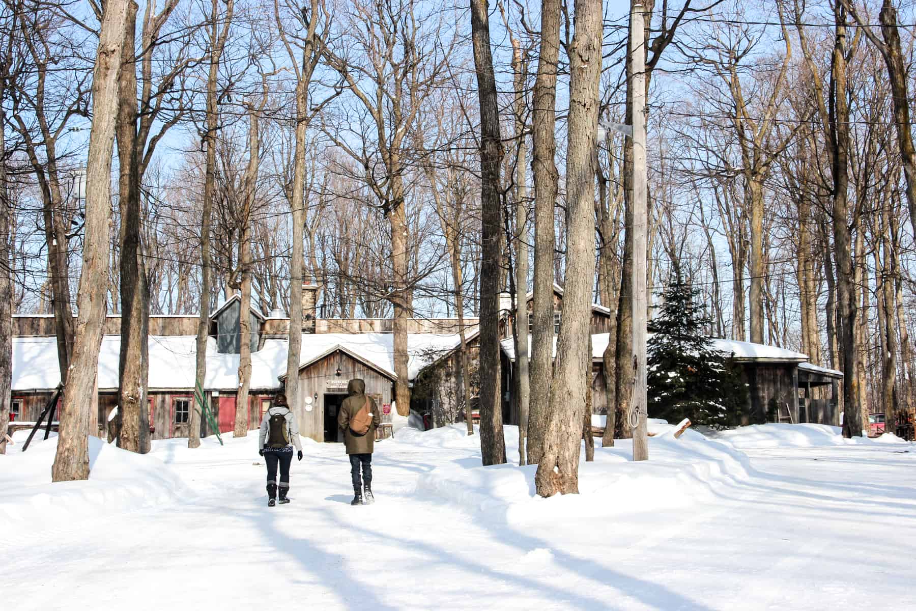 Two people walk towards a long wooden hut sugar shack in Quebec, within a forest covered in snow. 