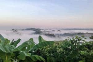 Temple spires poke through white clouds that hover above green jungle foliage