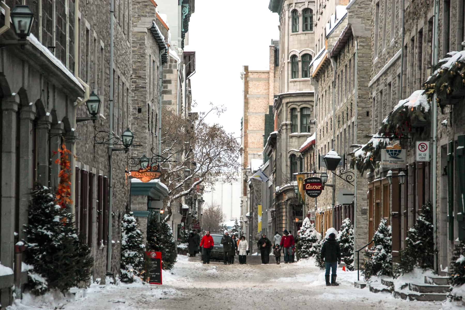People walking down a wide street lined with grey stone buildings and Christmas trees, in Quebec city in winter. 