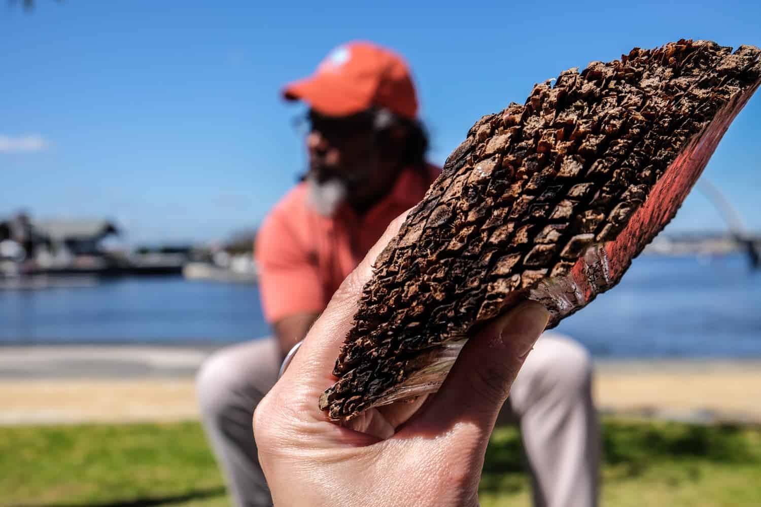 Tree bark, a natural material used by Aboriginal peoples before Perth was built up