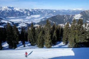 A skier on a slopoe that runs last tall green pine trees to a backdrop of the Austrian Alps mountains.