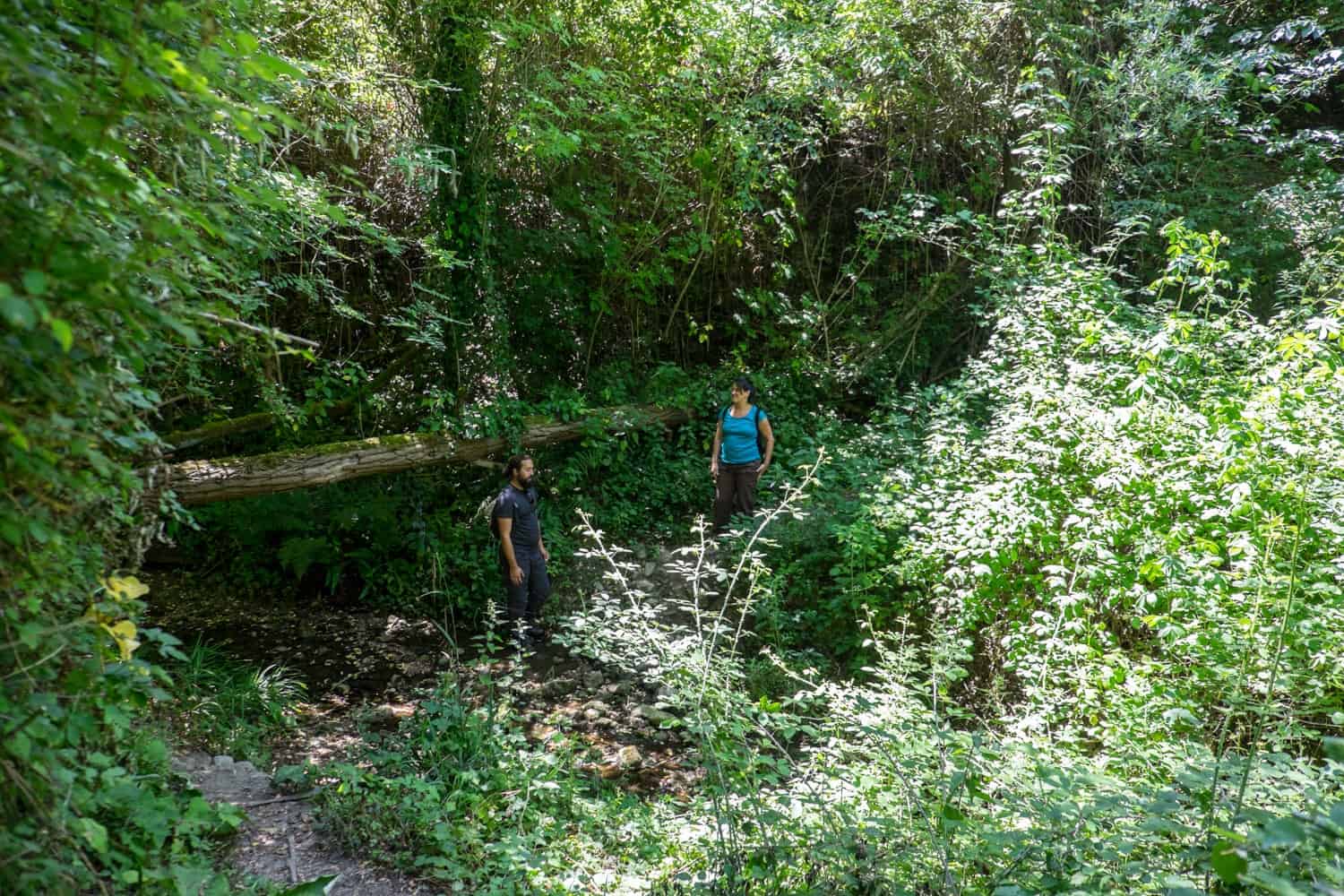 Hiking adventure in San Marino forests