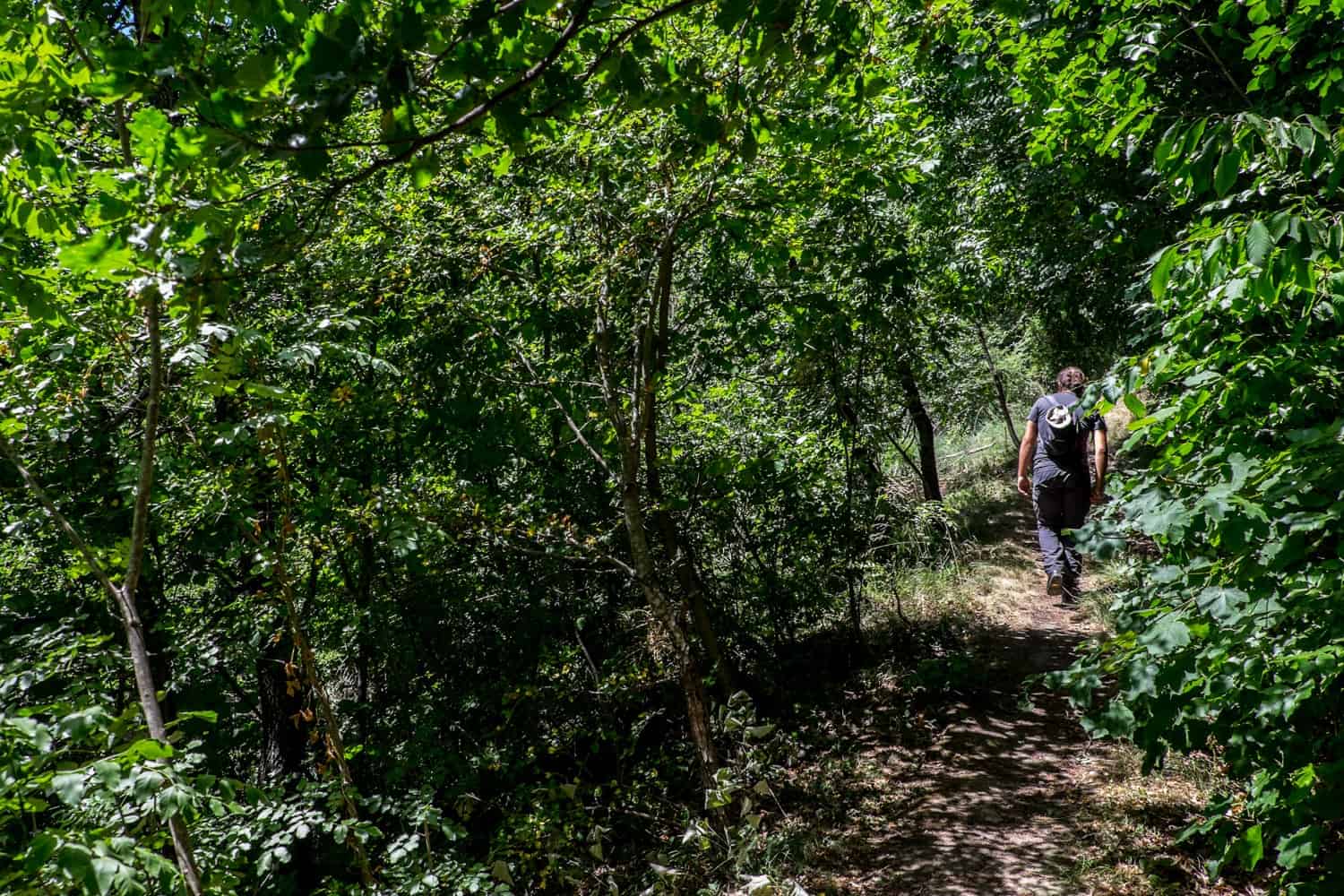 One of the hiking trails in San Marino woodland 