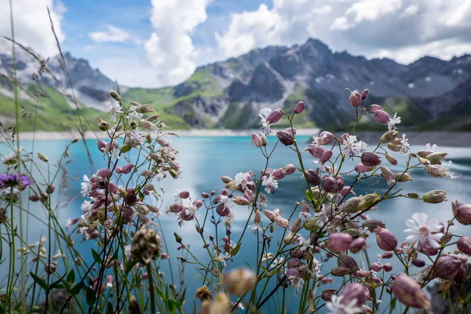 Nature of Lake Lunersee in Vorarlberg, Austria