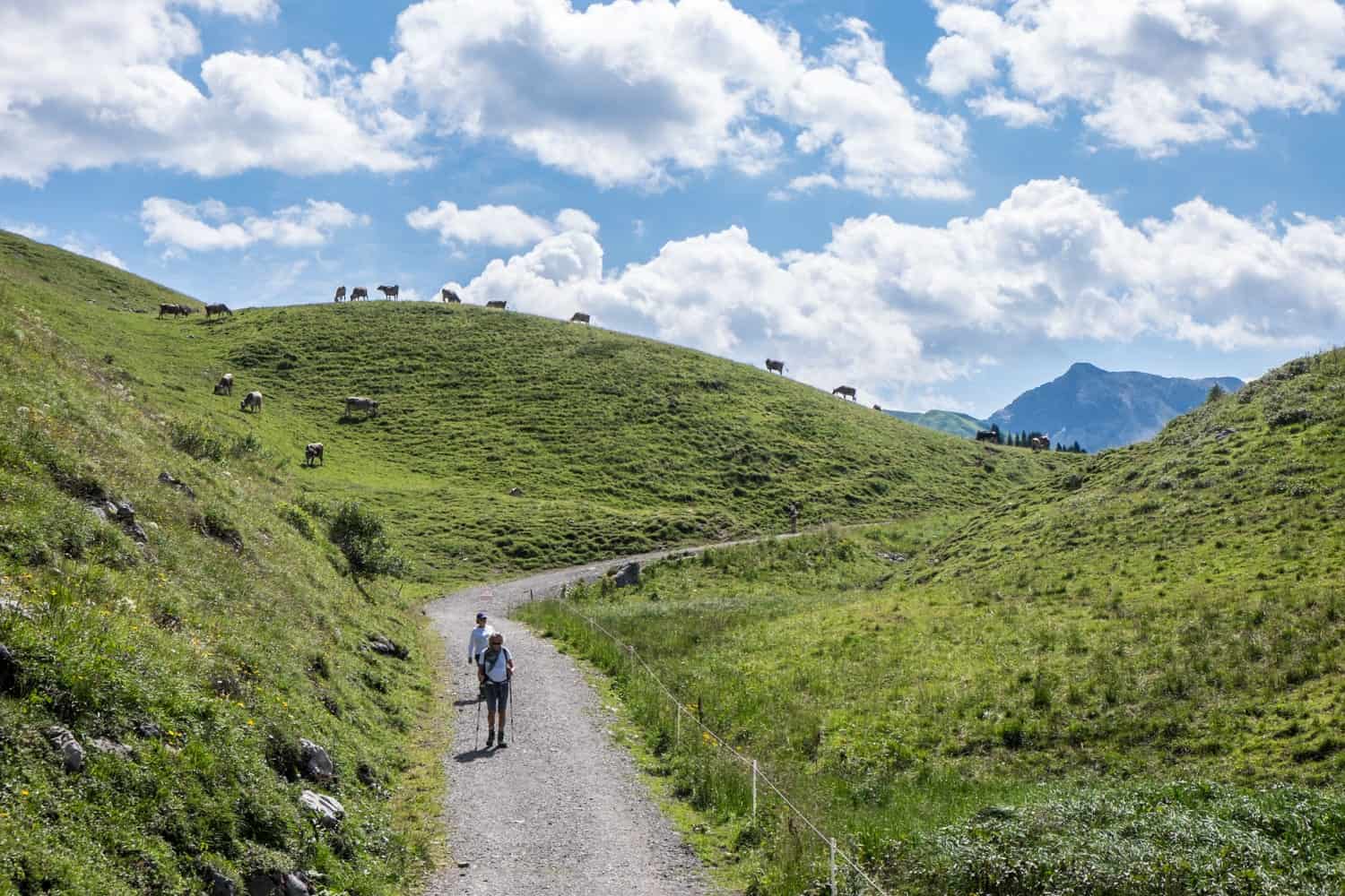 Hiking in the alpine hills in Lech, Austria