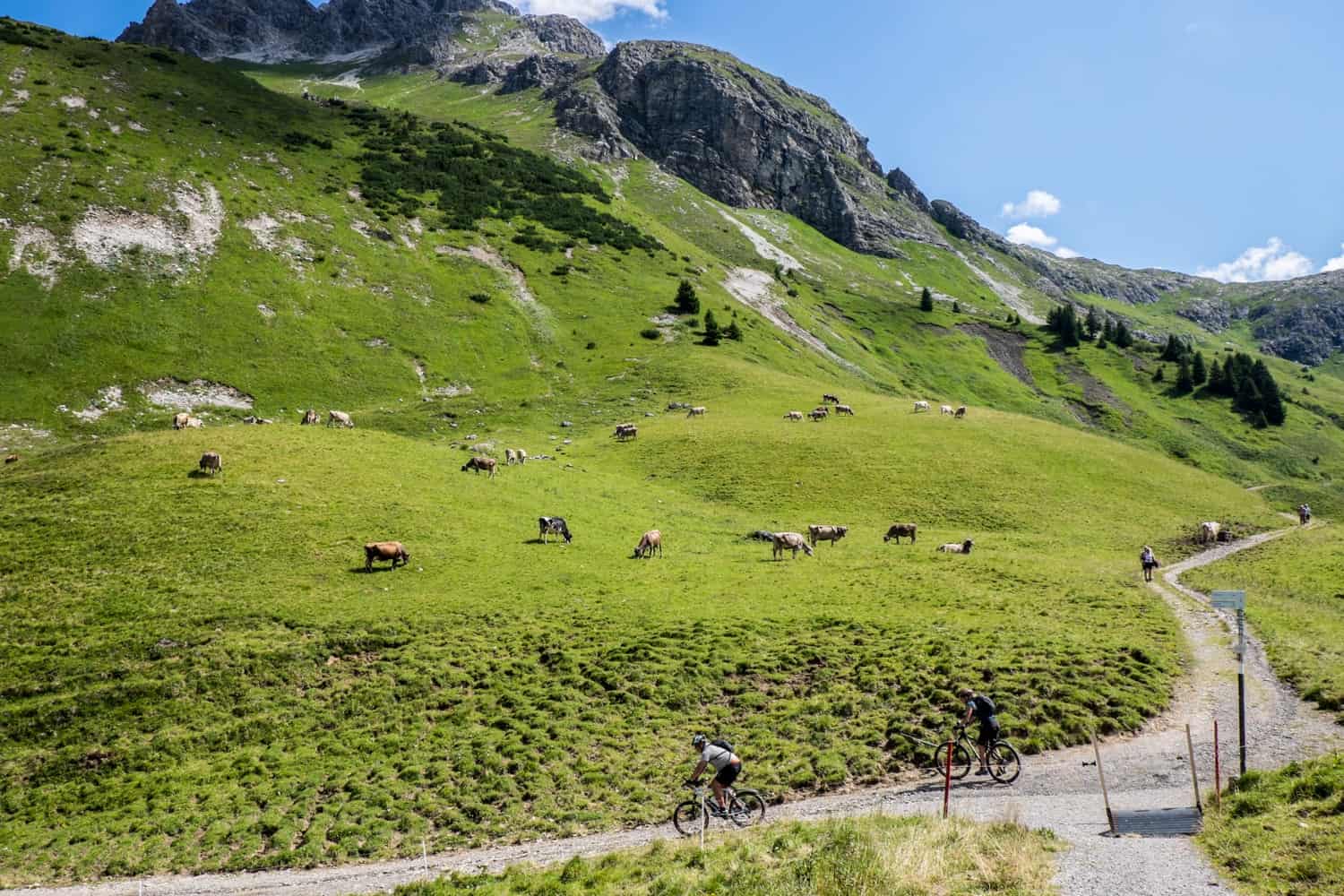 People hiking and biking in the Lech alpine, Austria