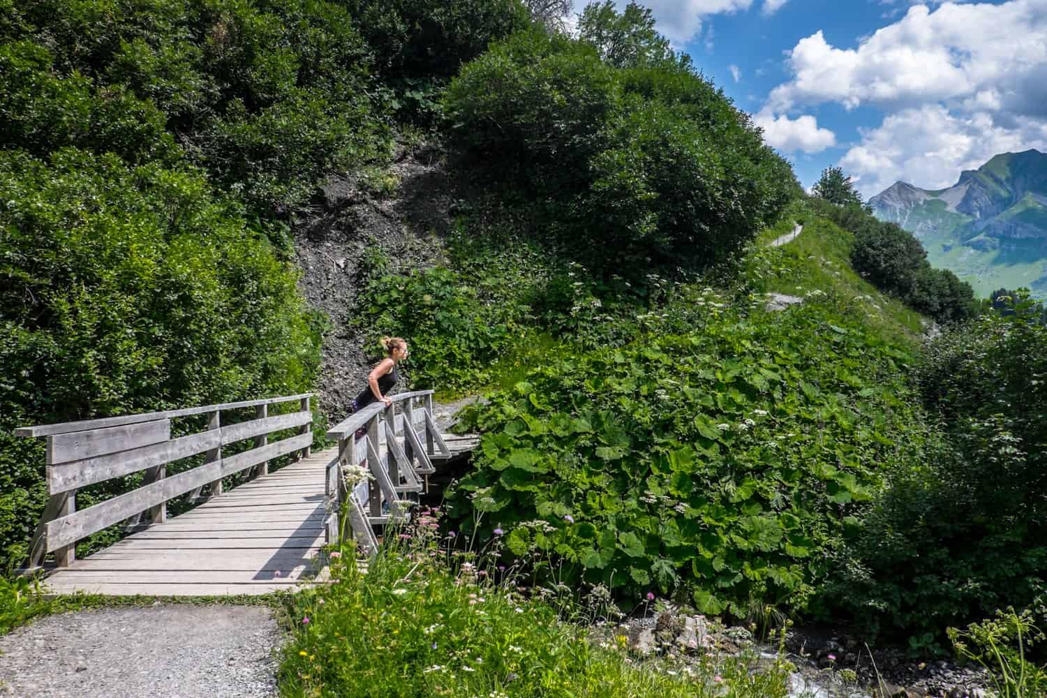 The nature of the mountains when hiking in Lech in summer