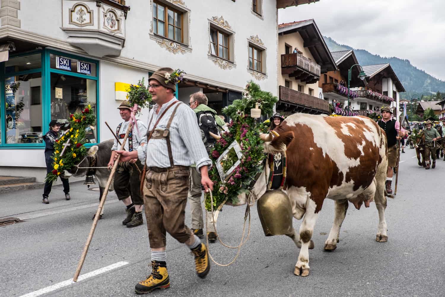 Farmers and cows at Almabtrieb in Lermoos village in Zugspitz Arena, Tirol, Austria