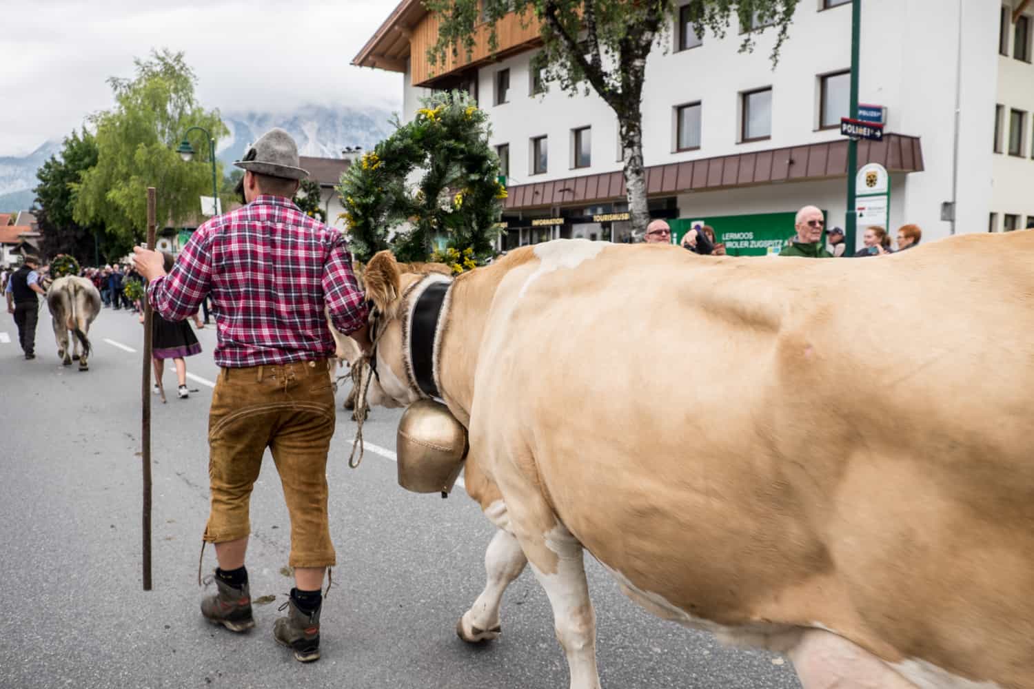 Almabtrieb in Lermoos village in Zugspitz Arena, Tirol, Austria