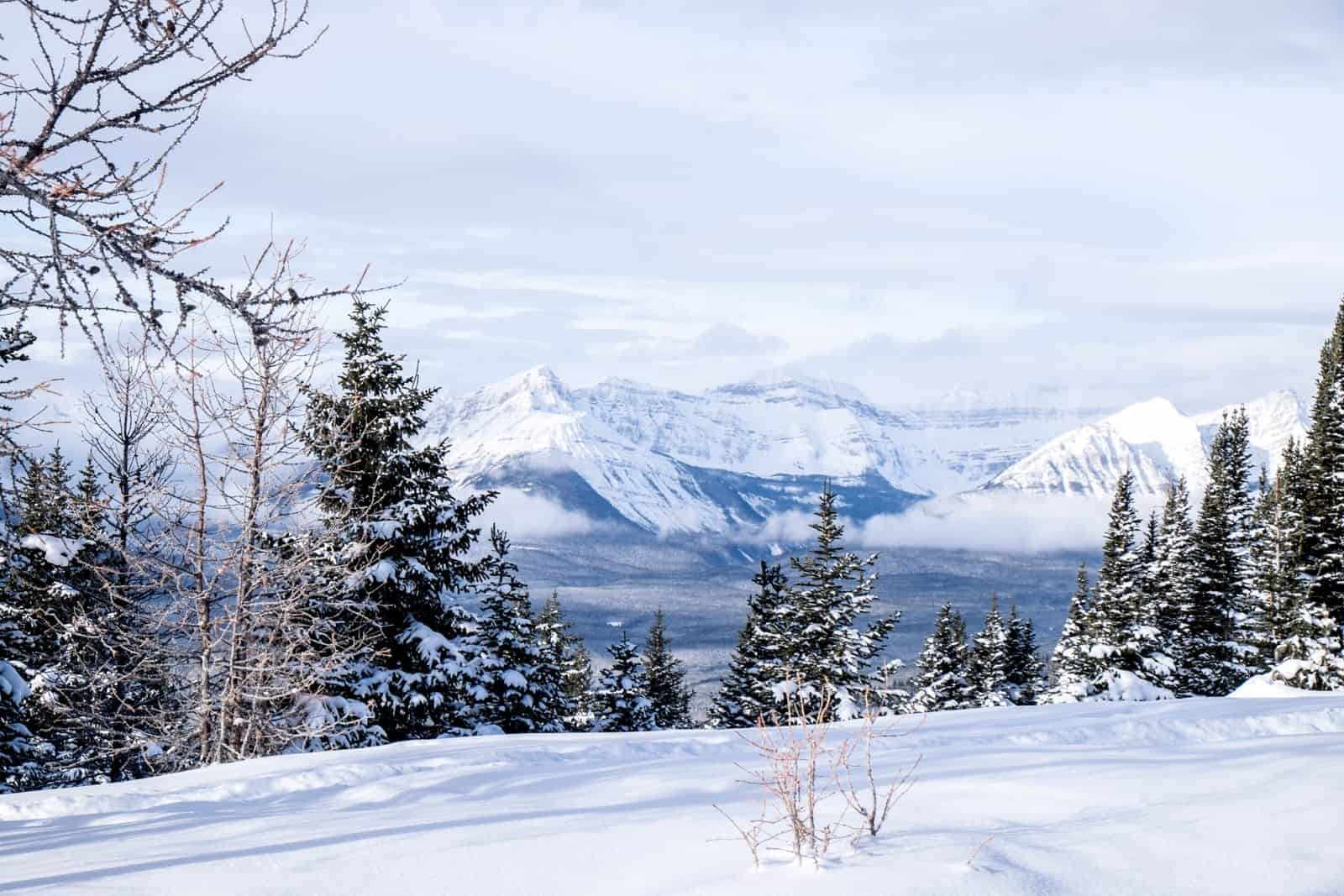 Rocky Mountains from Lake Louise, Banff, Canada 