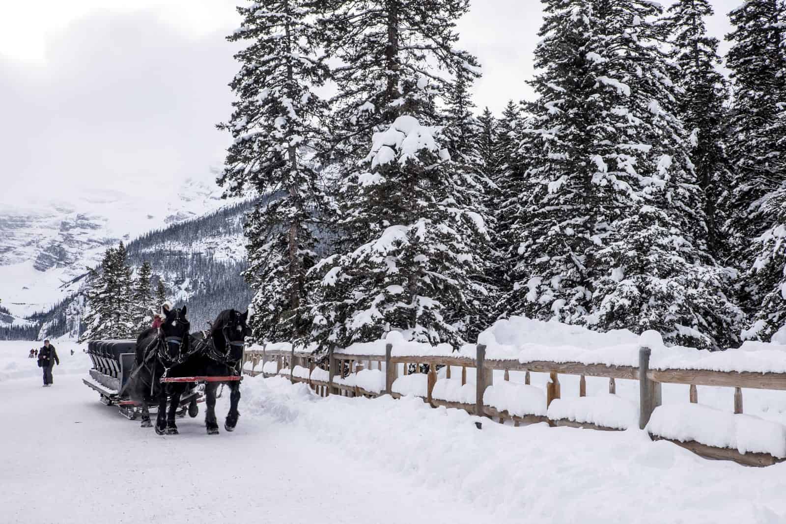 Grounds of the Fairmont Chateau Lake Louise hotel, Banff, Canada