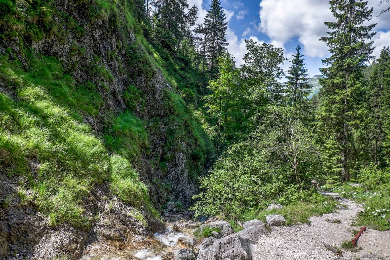 Nature in the mountains of Achensee, Tirol, Austria