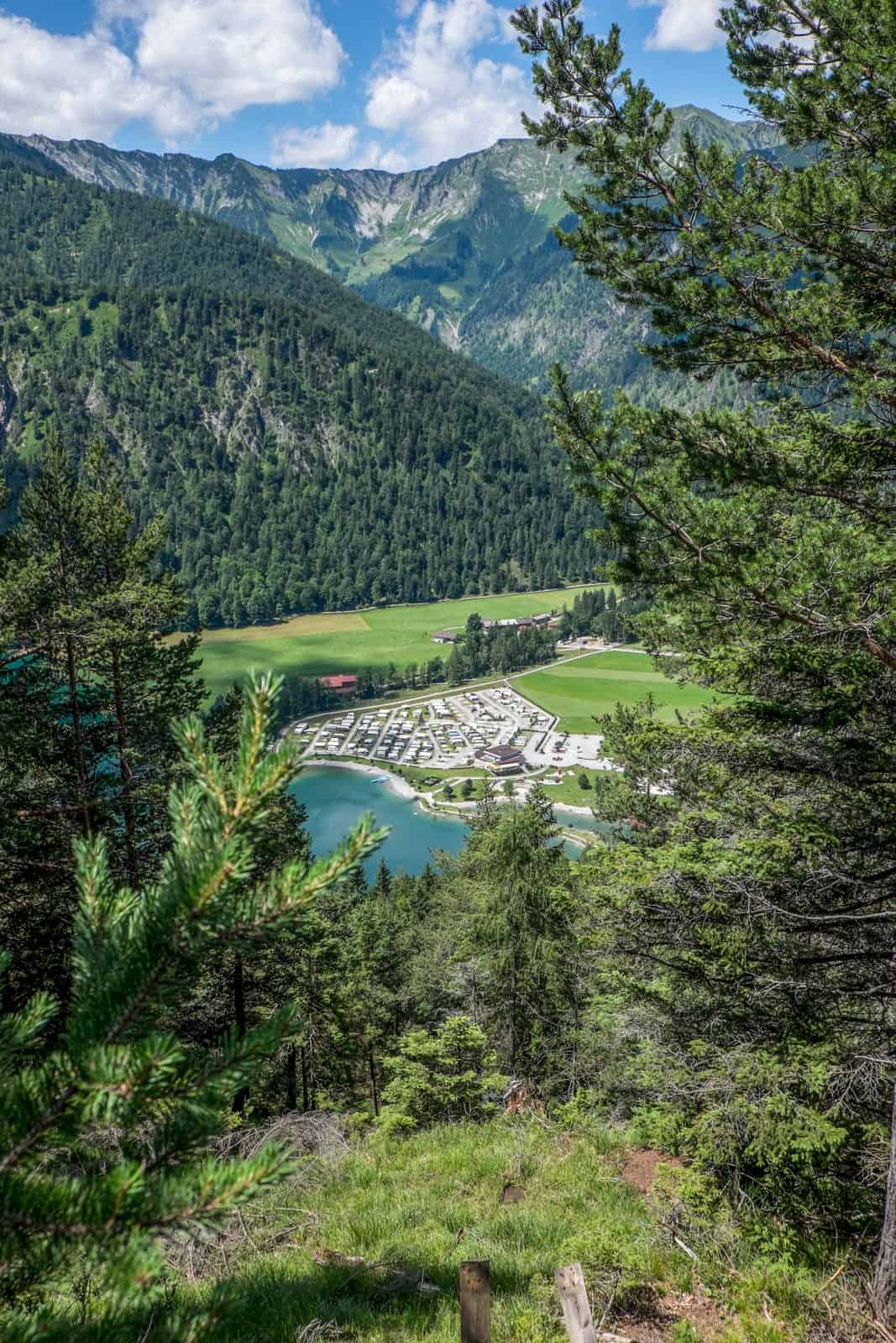 Elevated view of Achensee Lake from forest viewpoint