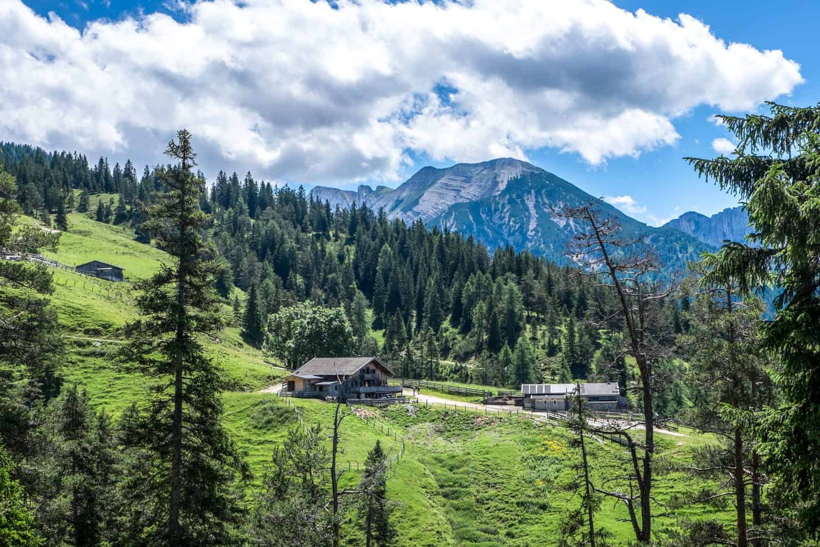 Views from the trails Biking in Achensee, Tirol, Austria