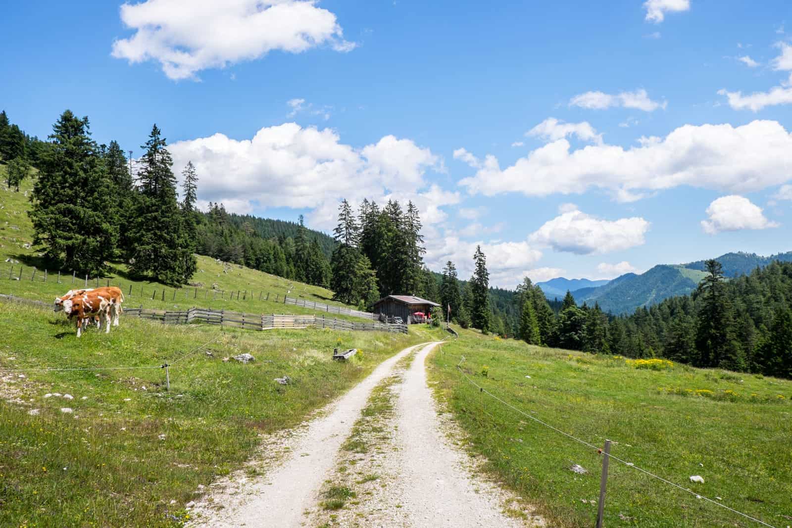 Farmland on the Biking trails in Achensee, Tirol