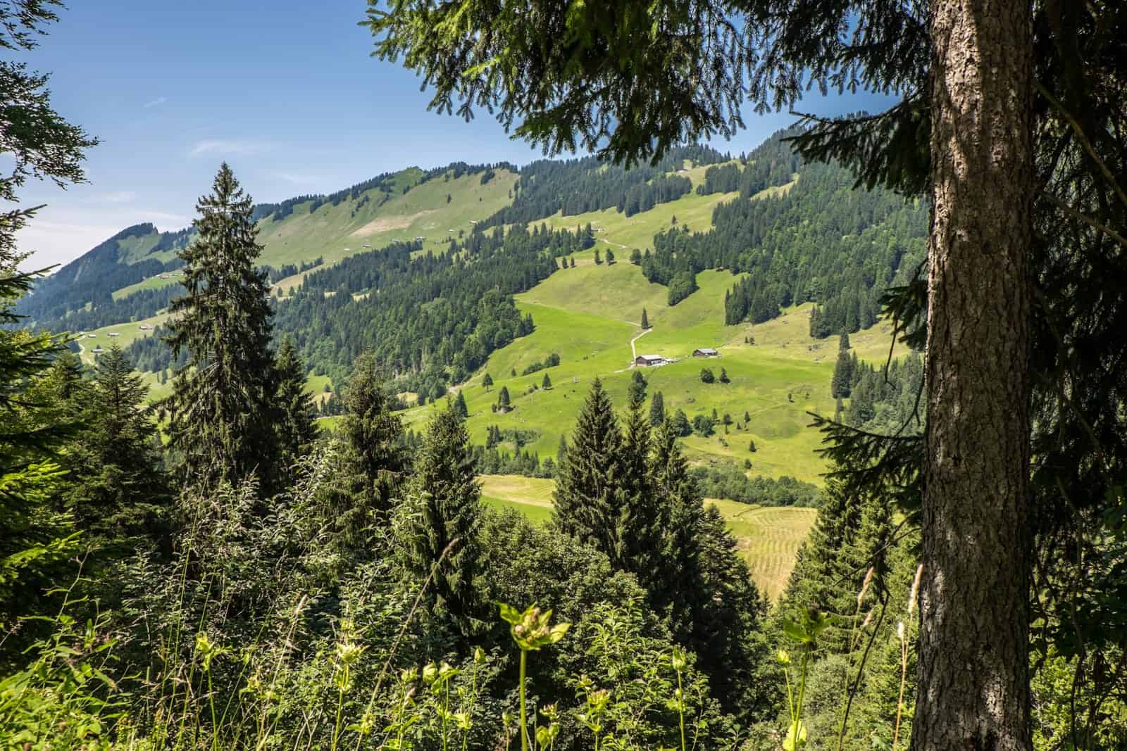 Views from the Vorarlberg alpine while hiking in Bregenzerwald, Austria