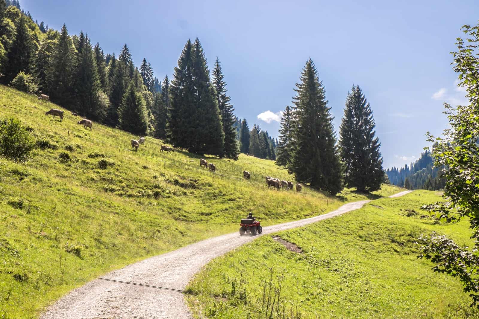 The alpine landscape of Vorarlberg, Austria hiking in Bregenzerwald