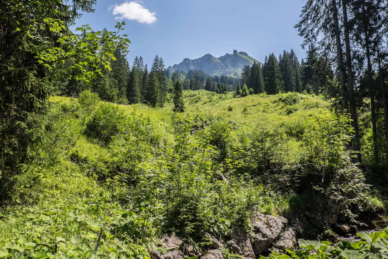 The alpine of the Bregenzerwald, Vorarlberg, Austria while hiking