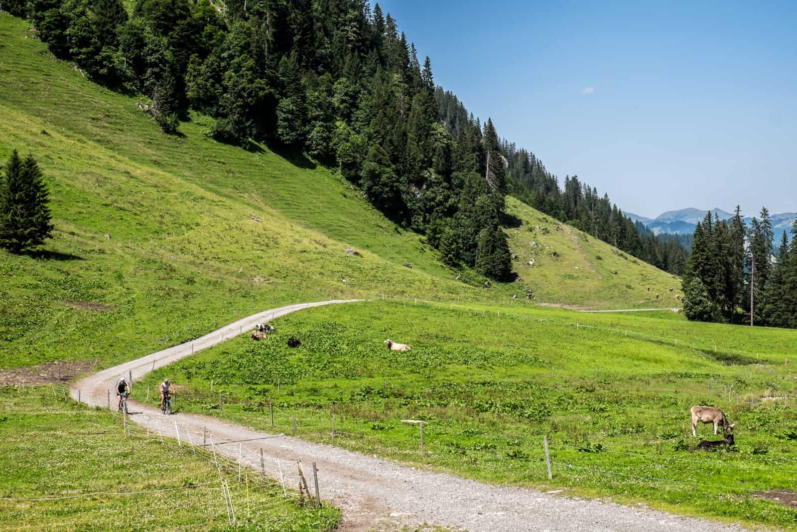 Mountain biking in Vorarlberg, Austria
